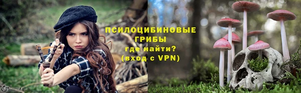 тгк Алзамай