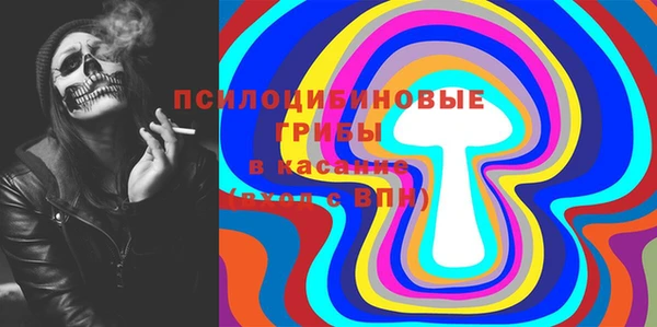 тгк Алзамай