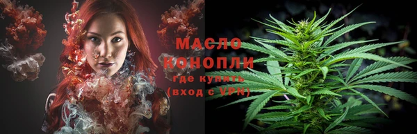 тгк Алзамай