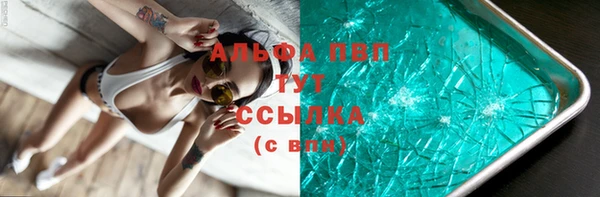 тгк Алзамай